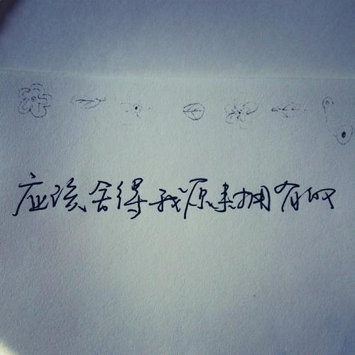 美丽的爱情句子