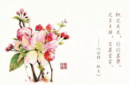 陶志尧的经典句子