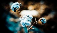 领悟一生的八句话