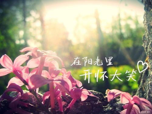 友善的审美句子