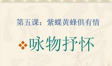 咏物抒情的句子