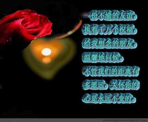 领导问候短信