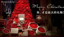 圣诞节表白的句子