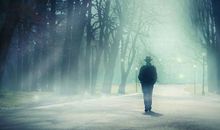 写背影的优美句子