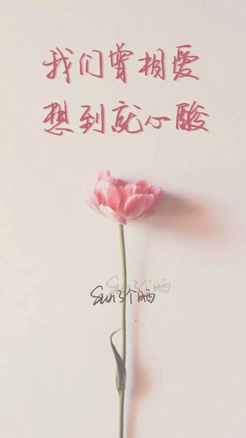 审美情感语录