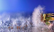 有关抒情的句子