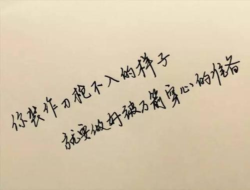 漂亮而优美的句子