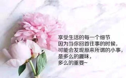 句子很犀利