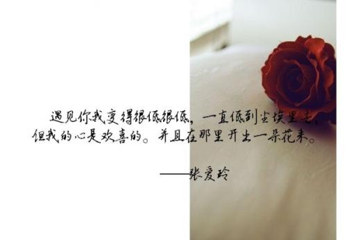 林慧音的经典爱情语录