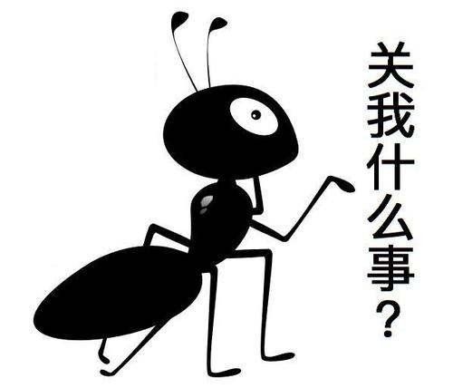 2017经典网络语言