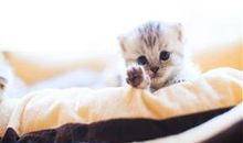 你不开心时要哄你开心的句子 当你不开心的安慰你时候语句