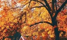 谈恋爱经典语句