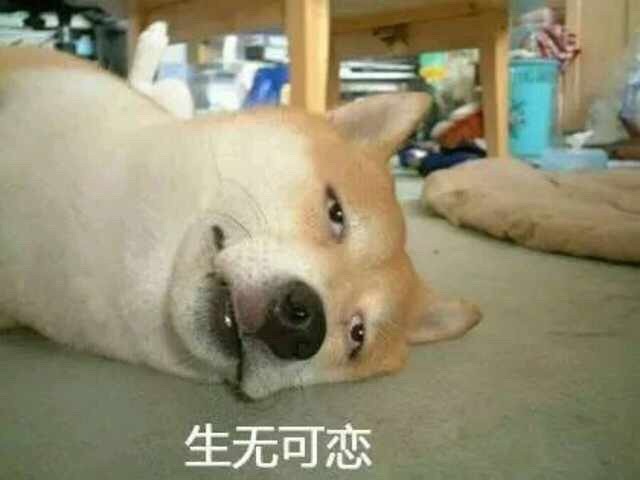 绝望的句子和没有爱的图片