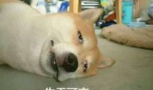 生无可恋的绝望的句子、图片