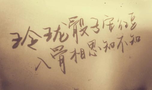 优美句子的13个字