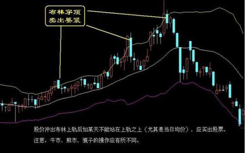 关于股票的经典句子