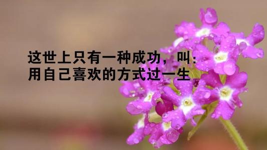 微信经典句子