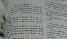 紫色年华经典句子