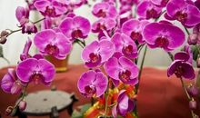 给朋友送行的祝福语