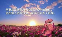 形容人心情不好的句子