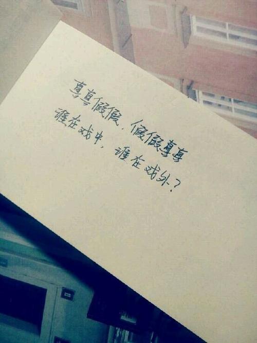 小说中的审美句子