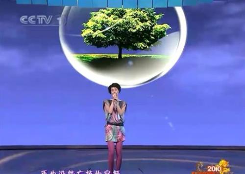 春节联欢晚会行情