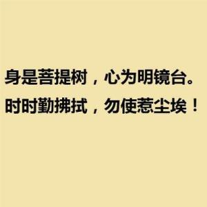 旅游感悟语录