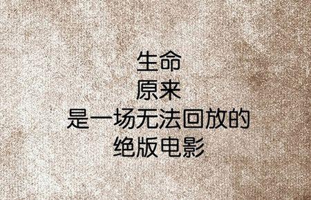 可理解的句子