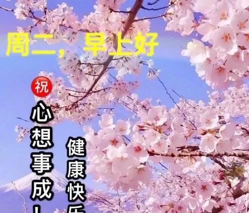 祝福美丽的句子