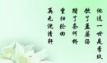 遇蛇中经典句子