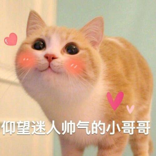 超级可爱谈论