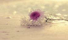 阳光唯美的句子