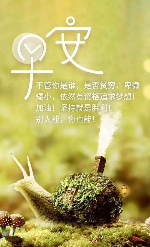 学习积极的句子