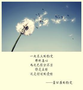 美丽感伤的句子友情