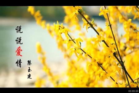 2017爱情讲座