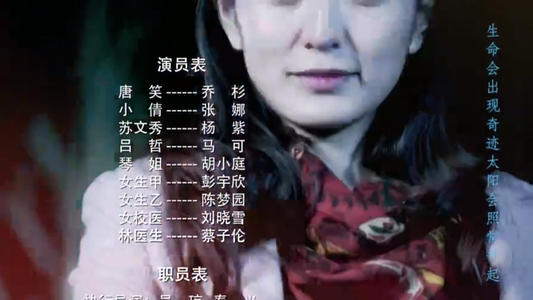 灵魂渡轮行情
