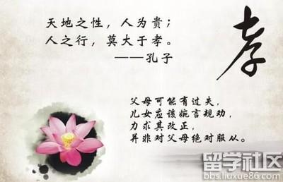 同情文化中的格言
