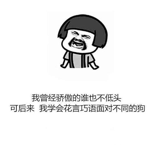 设计师搞笑语录