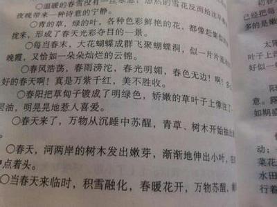 优美的句子开头