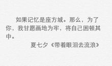 花火小说经典语录