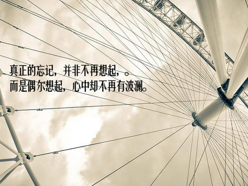 美丽而感性的句子