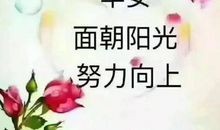 微商女人励志的句子