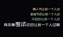 光棍节经典表白语录