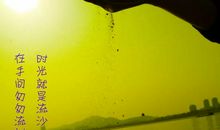 2017人生哲理的句子