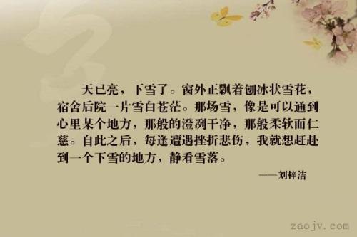 现代美丽的句子描述雪