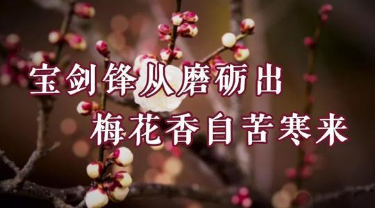 正能量句