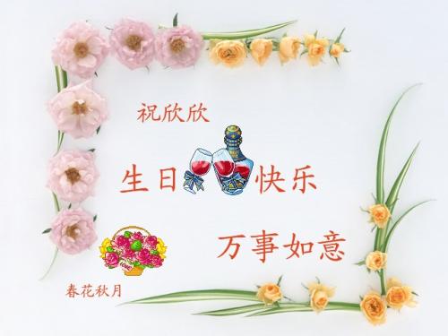 17岁女孩生日祝福
