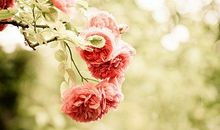 70后伤心情感语录