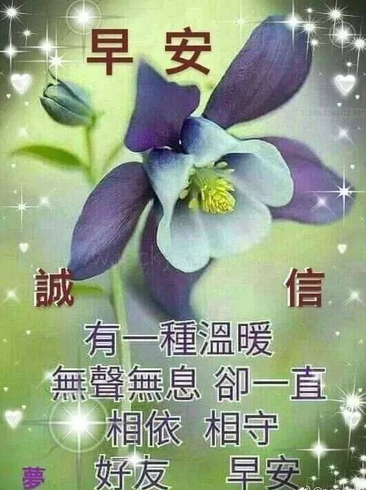 早上好报价
