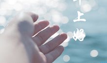 早起的经典句子